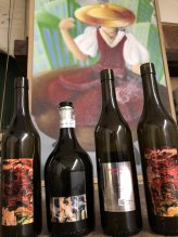 Les Vins "en tableau" d'ArtisVinum