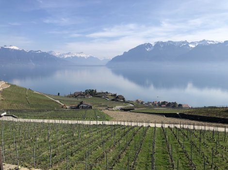 Avril 2025, depuis la terrasse du Domaine Bovy à Chexbres