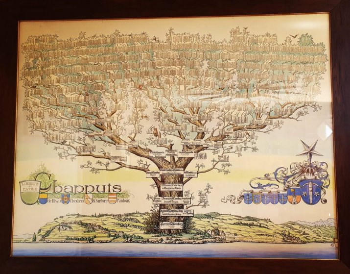 Le Domaine Christophe Chappuis, since 1335